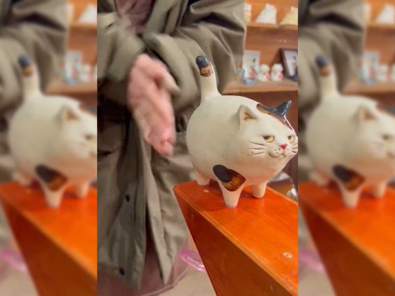 Japanese cat spray hand sanitizer is the happiest you’ll ever be to be peed on