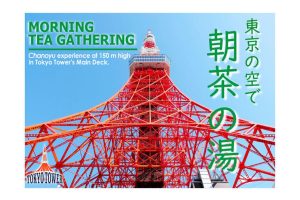 Enjoy the serene delights of the tea ceremony from the observation deck of Tokyo Tower
