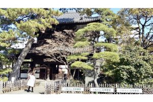 Paying respect to the 47 rōnin, Japan’s most famous ‘men of honour,’ at Sengakuji Temple