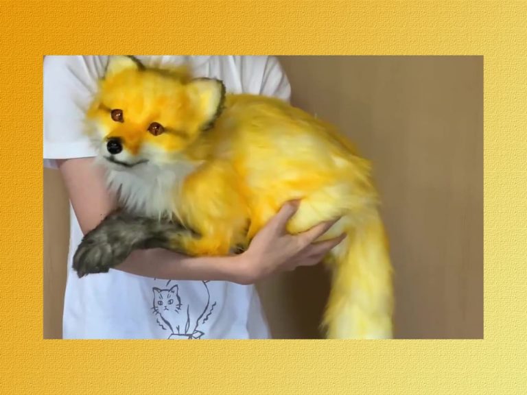 Japanese creator’s cute and lifelike canine plush puppets “never fail to surprise passers-by”