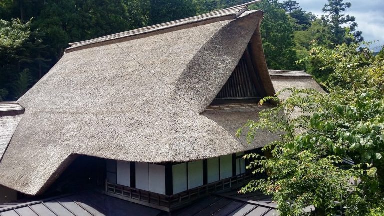 Thatch: humble yet elegant roofing material in search of a new lease of life