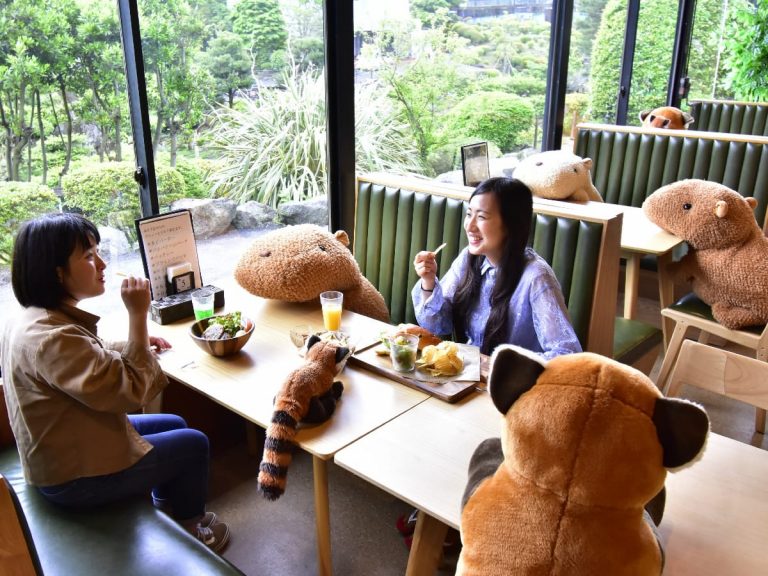 The Capy-barrier: Japanese restaurant using Capybaras to enforce social distancing