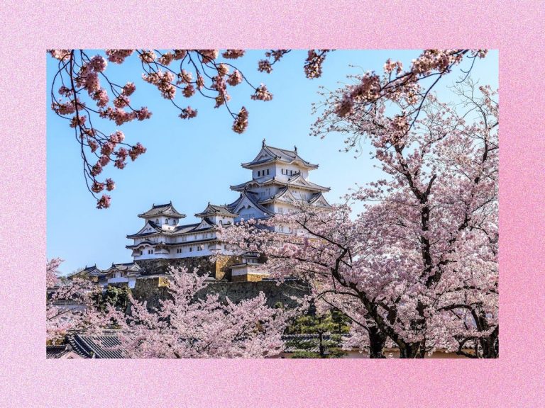 These Japanese Castles are Best for Sakura Viewing