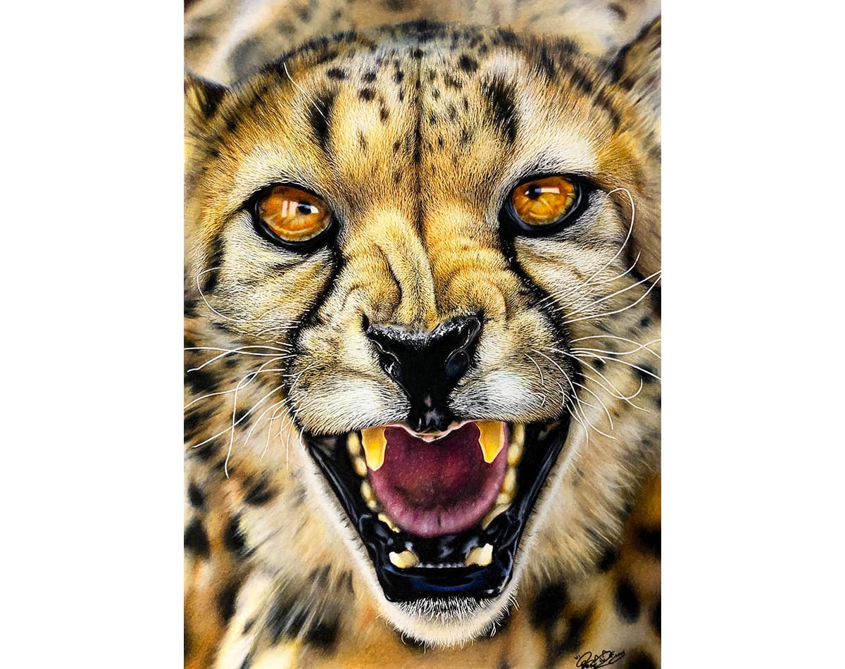 Speed drawing: Cheetah | Realistic animal drawings, Cheetah drawing,  Colorful drawings