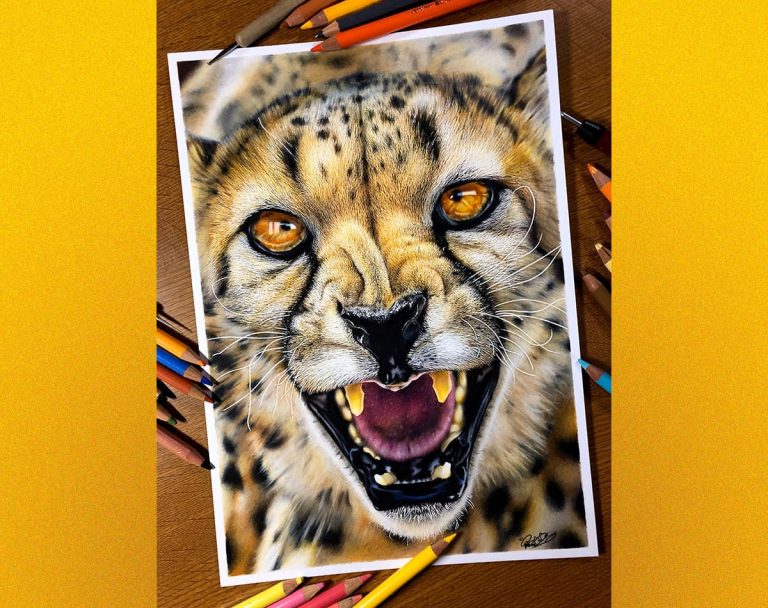 Japanese artist draws amazingly lifelike cheetah with only color pencils