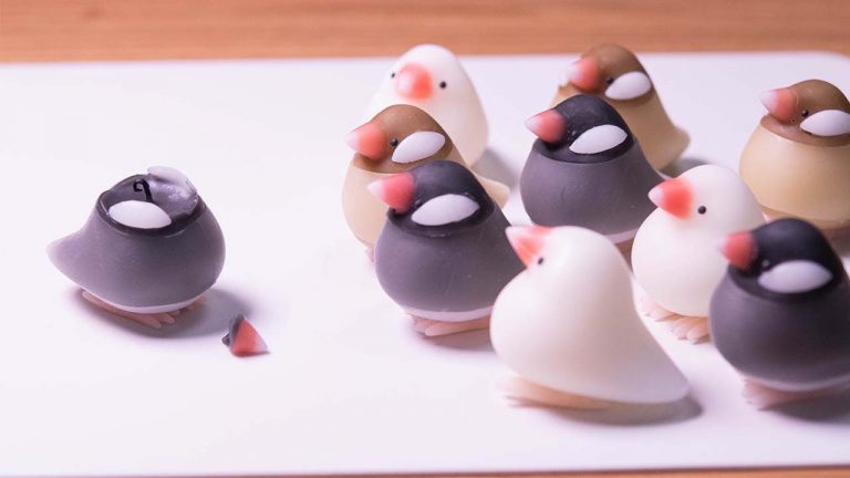 Make Java finch candles, other cute crafts out of familiar items with Japanese DIY artist’s videos