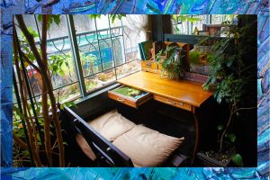 This cafe prohibits talking, allowing visitors to slip into another world