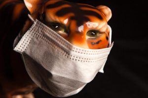 Tiger Mask donation: Japan’s anime-Inspired generosity