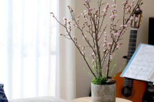 Enjoy your very own cherry blossom viewing from home with this sakura ikebana set