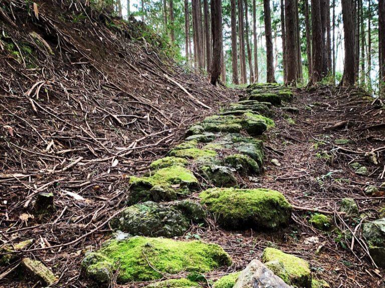 Restoring an ancient pilgrimage pathway in Northern Kyōto – the old Miyazu Kodō