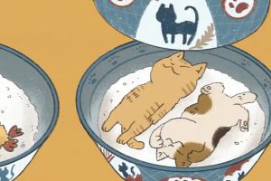 Cats sleeping on their backs become adorable rice bowl dishes in Japanese illustrator’s GIF art