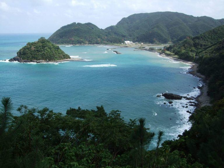 Japan Islands Eyed as World Heritage Site Offer Insights into Biodiversity