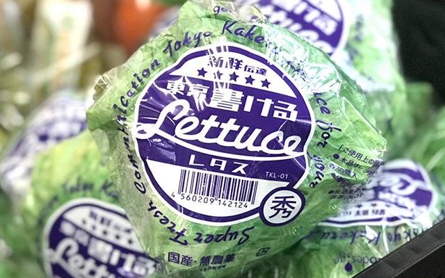 This Realistic Lettuce Notepad Is Great For Jotting Down Fresh Ideas