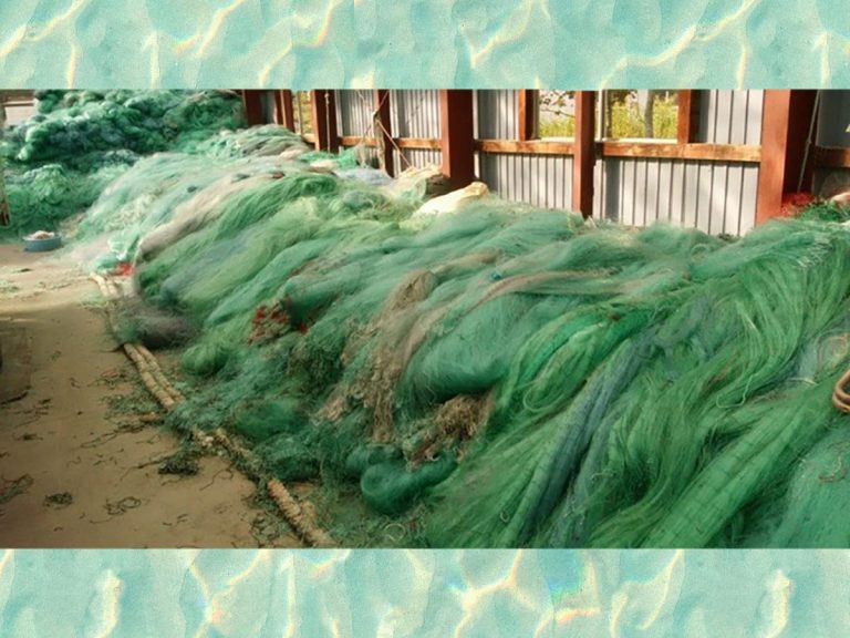 Japanese firm Refinverse Inc. expands operations of its upcycled fishing  net nylon – grape Japan