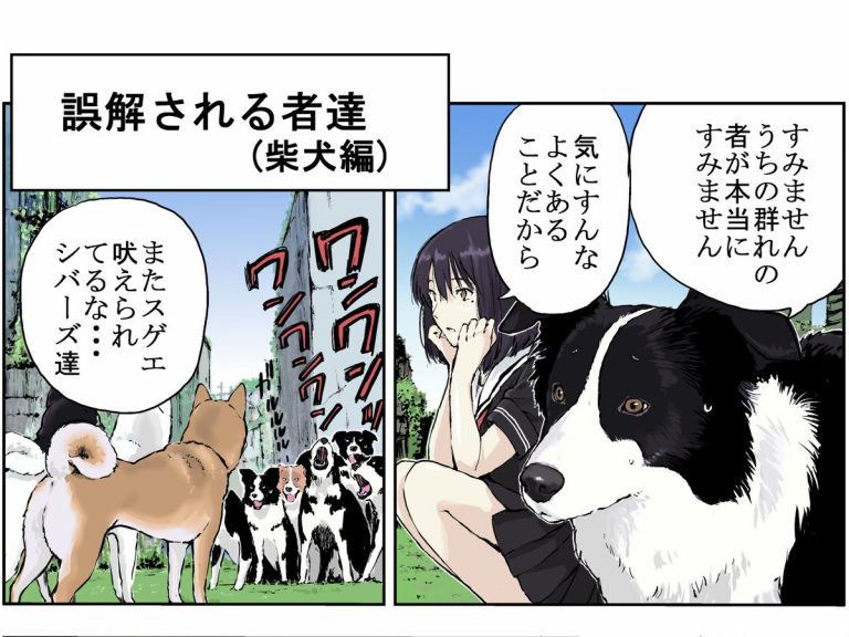 Manga Artist Reveals Why Shiba Inu Are Misunderstood By Other Dogs