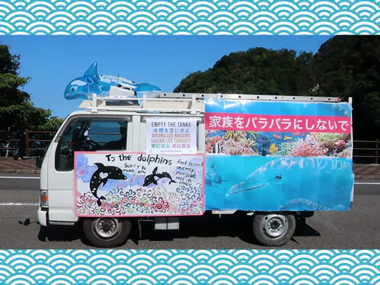 Storms and Protests During the First Month of Taiji’s Dolphin Hunts, Minus the Foreigners