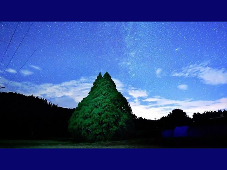 [Hidden Wonders of Japan] The First ‘Totoro’ is a 1000 Year Old Tree in Yamagata Prefecture