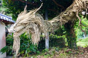 Fearsome Palm Tree Japanese Folklore Dragon Gives Goosebumps In Okinawa