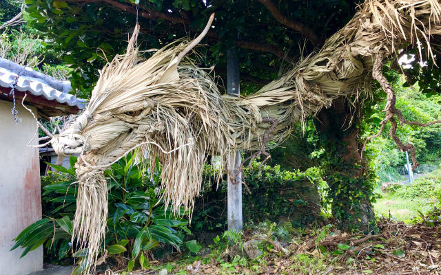 Fearsome Palm Tree Japanese Folklore Dragon Gives Goosebumps In Okinawa