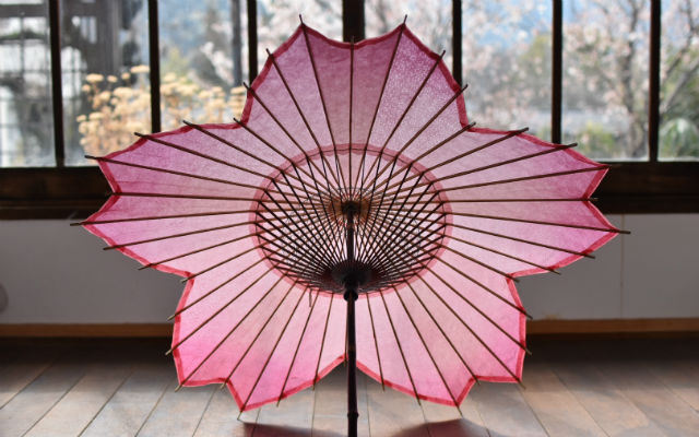 Beautiful Japanese Traditional Paper Sakura Umbrella Is Perfect For Cherry Blossom Season