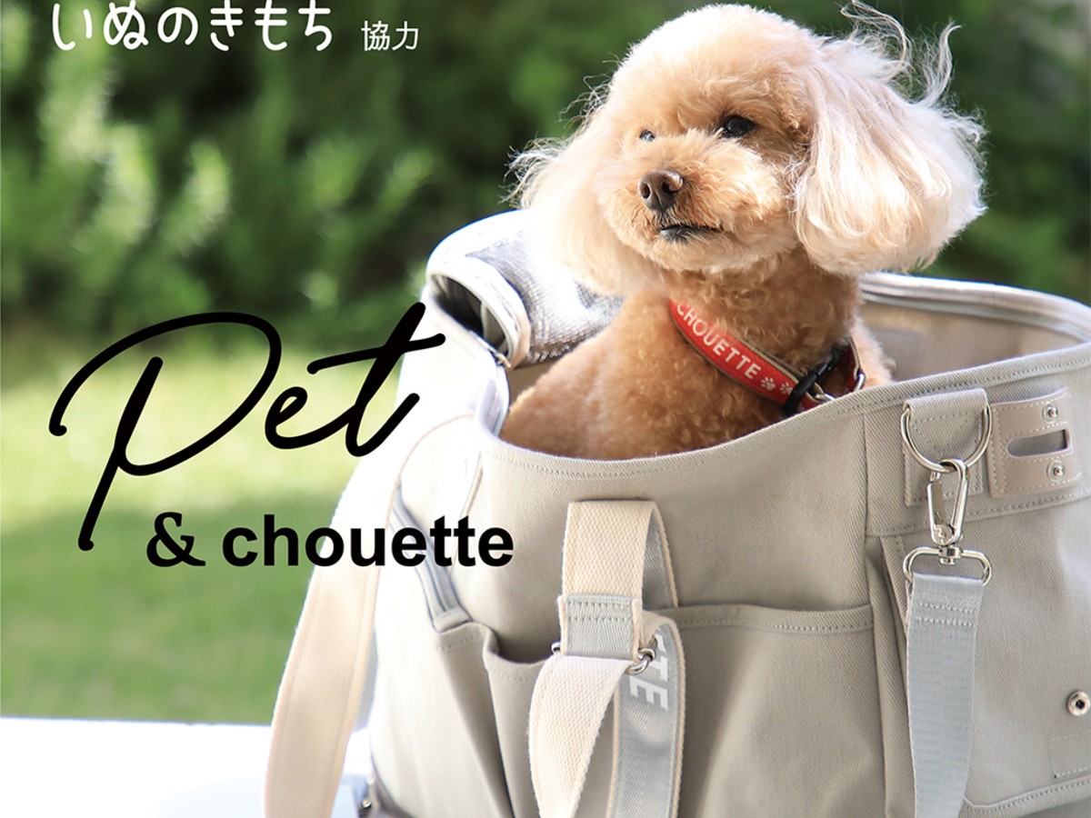 Louis Vuitton, Dog, Pet Carrier And Pet Collar Combo
