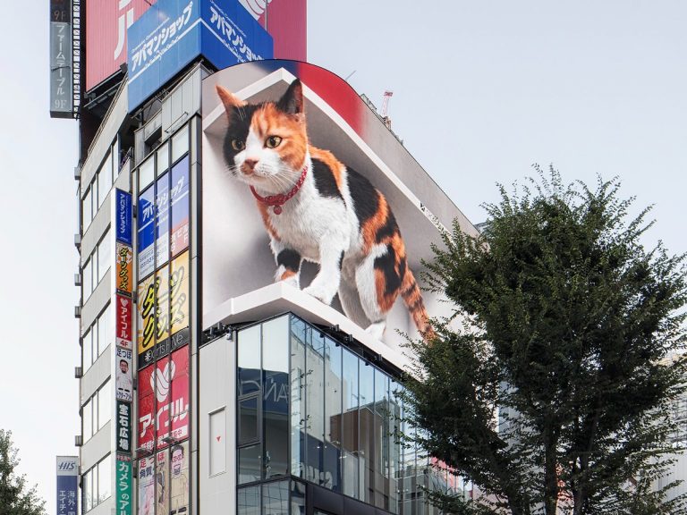 Shinjuku’s new giant 3-D cat now plays with a giant Roomba