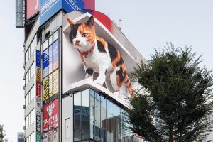 Shinjuku’s giant 3-D cat will now regularly greet and speak to crowds every 15 minutes