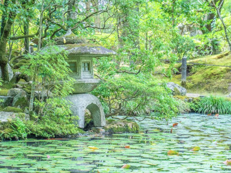 Stunning photography of beautiful garden in Kyoto draws comparisons to Studio Ghibli and Makoto Shinkai