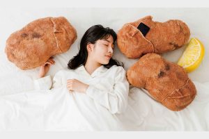 Japan releases fried chicken pillow cushions with sizzling chicken ASMR so you can dream of karaage