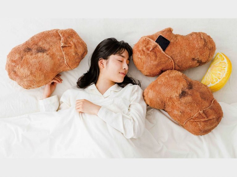 Japan releases fried chicken pillow cushions with sizzling chicken ASMR so you can dream of karaage
