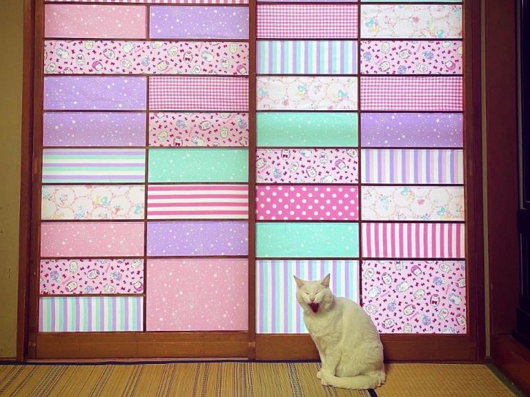 Cat’s repeated attacks on traditional sliding Japanese doors results in gorgeous makeover