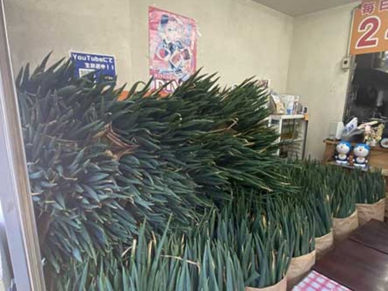 Bento store in Tokyo’s generous 1,000 kilo free food giveaway turns it into an onion forest