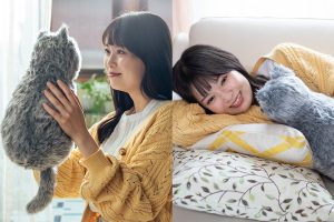 Japan’s faceless lifelike cat plushie purrs in response to pets and acts as a heater