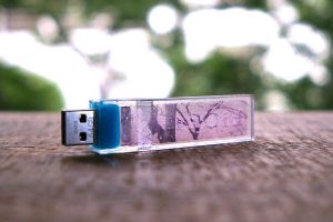 Save your cherry blossom party memories with this sakura USB stick
