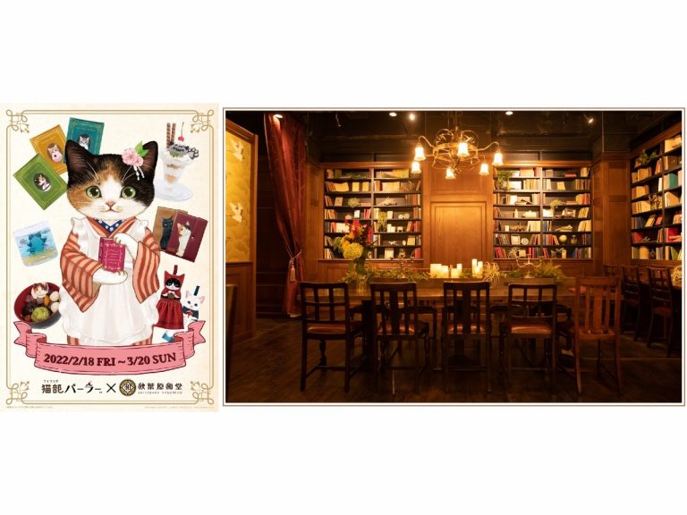 Felissimo and Akihabara cafe team up for adorable feline-themed cafe experience