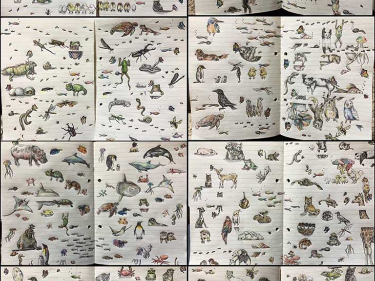 Japanese artist spends 2 years drawing animals to keep retweet promise, and still has 19,000 to go