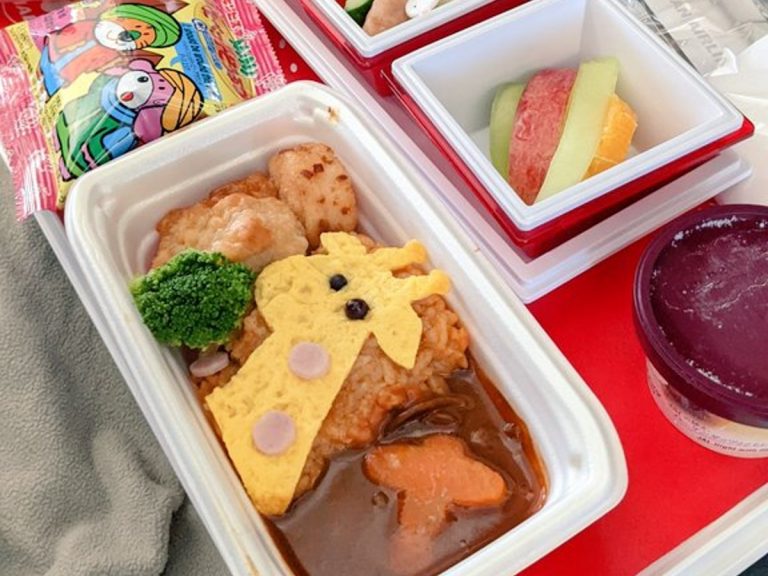 Japan Airline’s adorable kids’ meal and service has adults wishing they were children