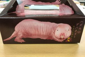 Japan’s super realistic naked mole-rat sweet potato is ready to burrow into and terrify your tastebuds