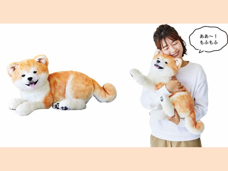 These Akita dog-inspired items look delightfully similar to the real thing
