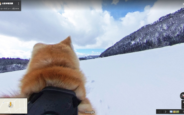 Let These Very Good Boys Take You on an Adventure in Akita with Google Dog Street View