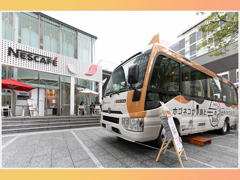 Real-life cat bus: One-day event introduces shelter cats to potential new families in a cat-shaped bus