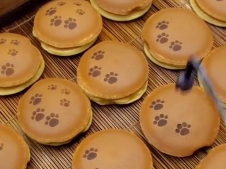 Cat paw print cakes are Japan’s newest cutest dessert