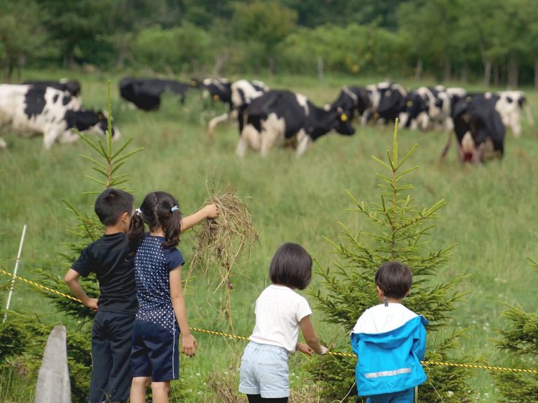 Japanese elementary schoolers learn fate of cows on farm trip; their reaction is food for thought