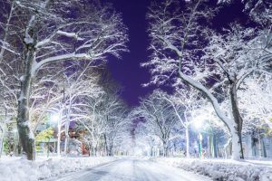 Ethereal Winter Wonderland Photos Taken by Hokkaido Student Look Straight Out of Narnia