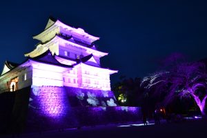 See the Charming Odawara Castle by Taking an Easy Day Trip From Tokyo