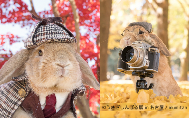 ‘The Most Stylish Bunny in the World’ Can Skilfully Portray Any Role