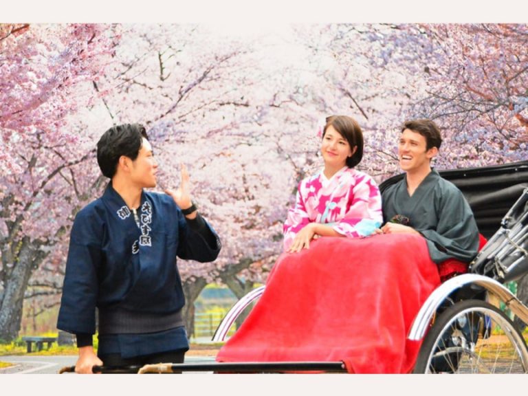 Hanami Blossom-Viewing Rickshaw Private Tour at Hotel New Otani