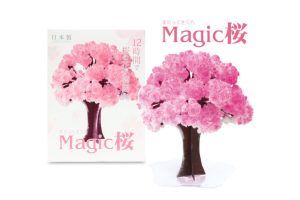 Magic Sakura Tree: The new way to enjoy flower-viewing at home