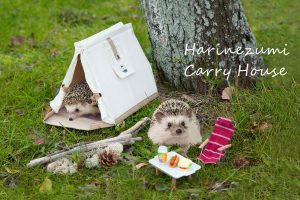 Take Your Prickly Pals On All Your Adventures With The Hedgehog Carry House Purse