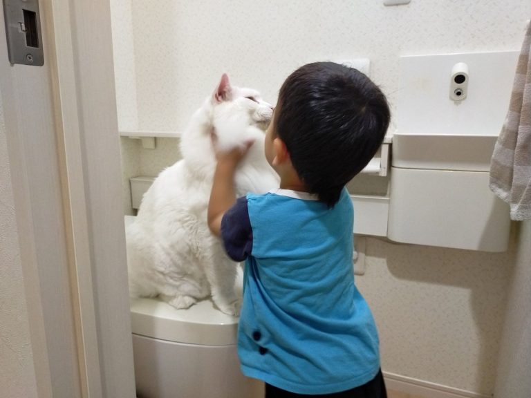 Toddler and fluffy house cats battle over the restroom the only way they can